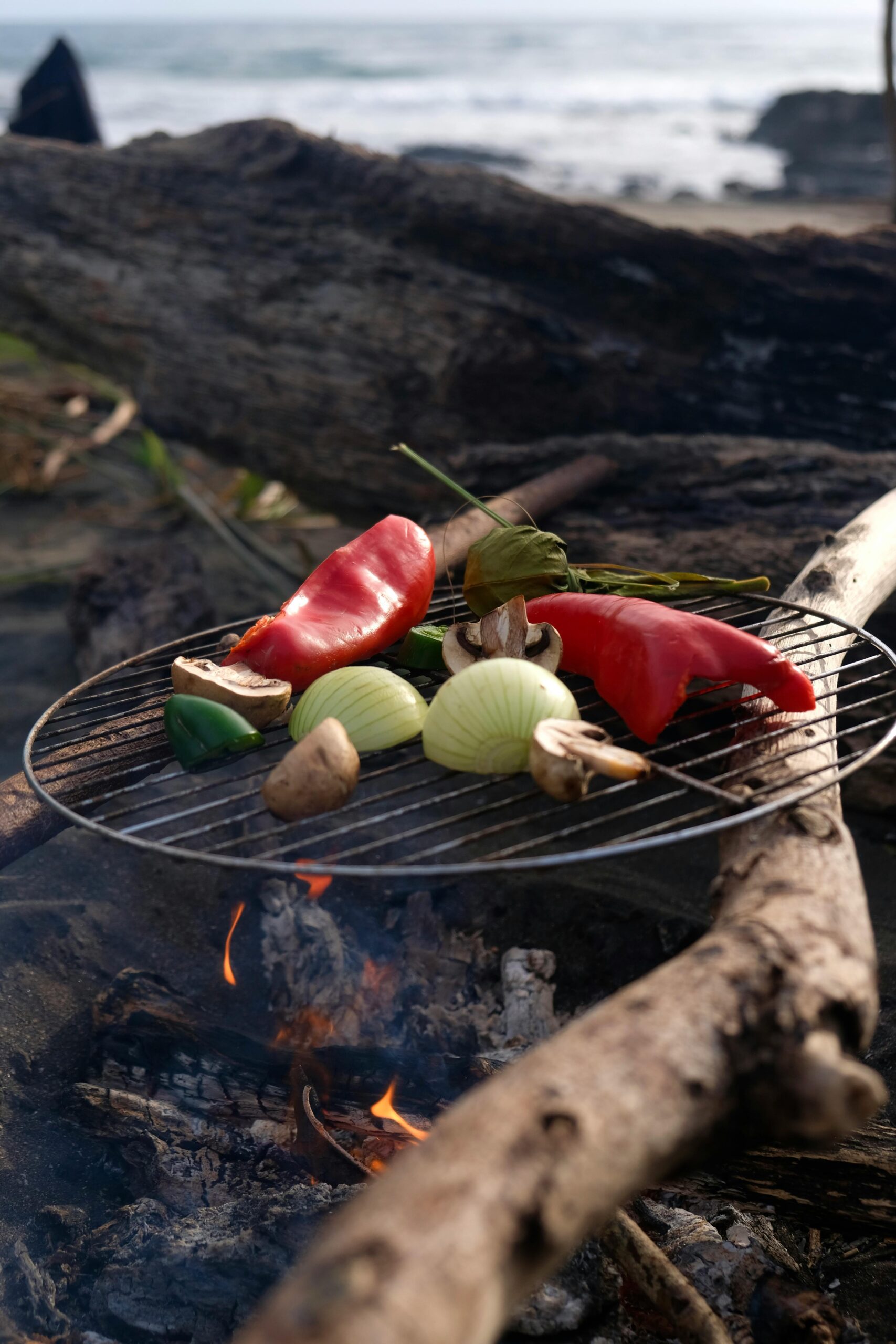 Augalinio maisto gaminimas lauko sąlygomis